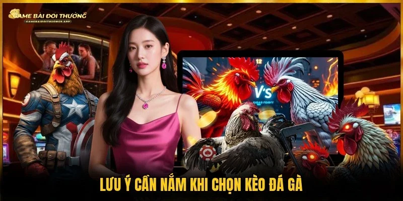 Ghi nhớ những lưu ý quan trọng để hạn chế lựa chọn sai lầm